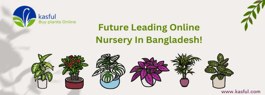 Online Nursery Bangladesh